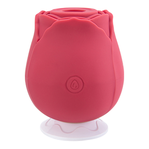 Electric Rose Toys Vibrator Seksspeeltje voor vrouwen Oplaadbaar 3 frequenties 10 snelheden voor G-spotstimulatie