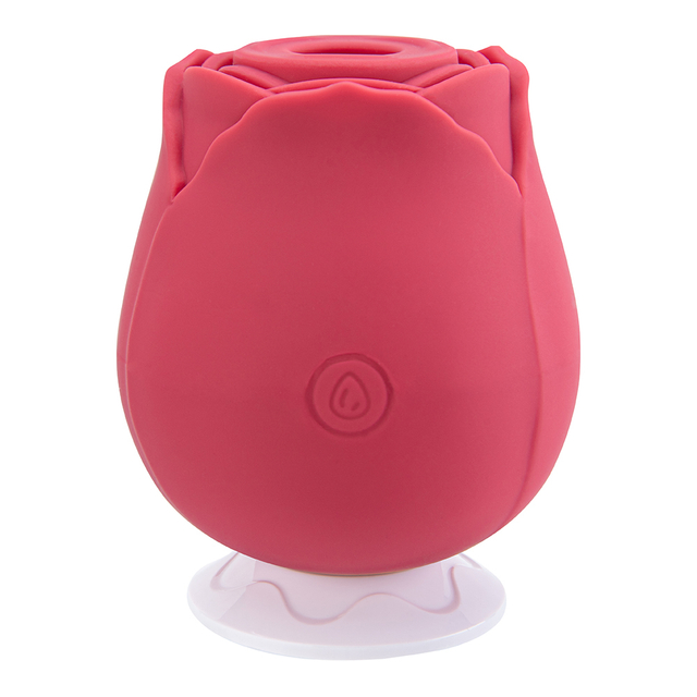 Electric Rose Toys バイブレーター 大人のおもちゃ 女性用 充電式 3 周波数 10 スピード G スポット刺激用