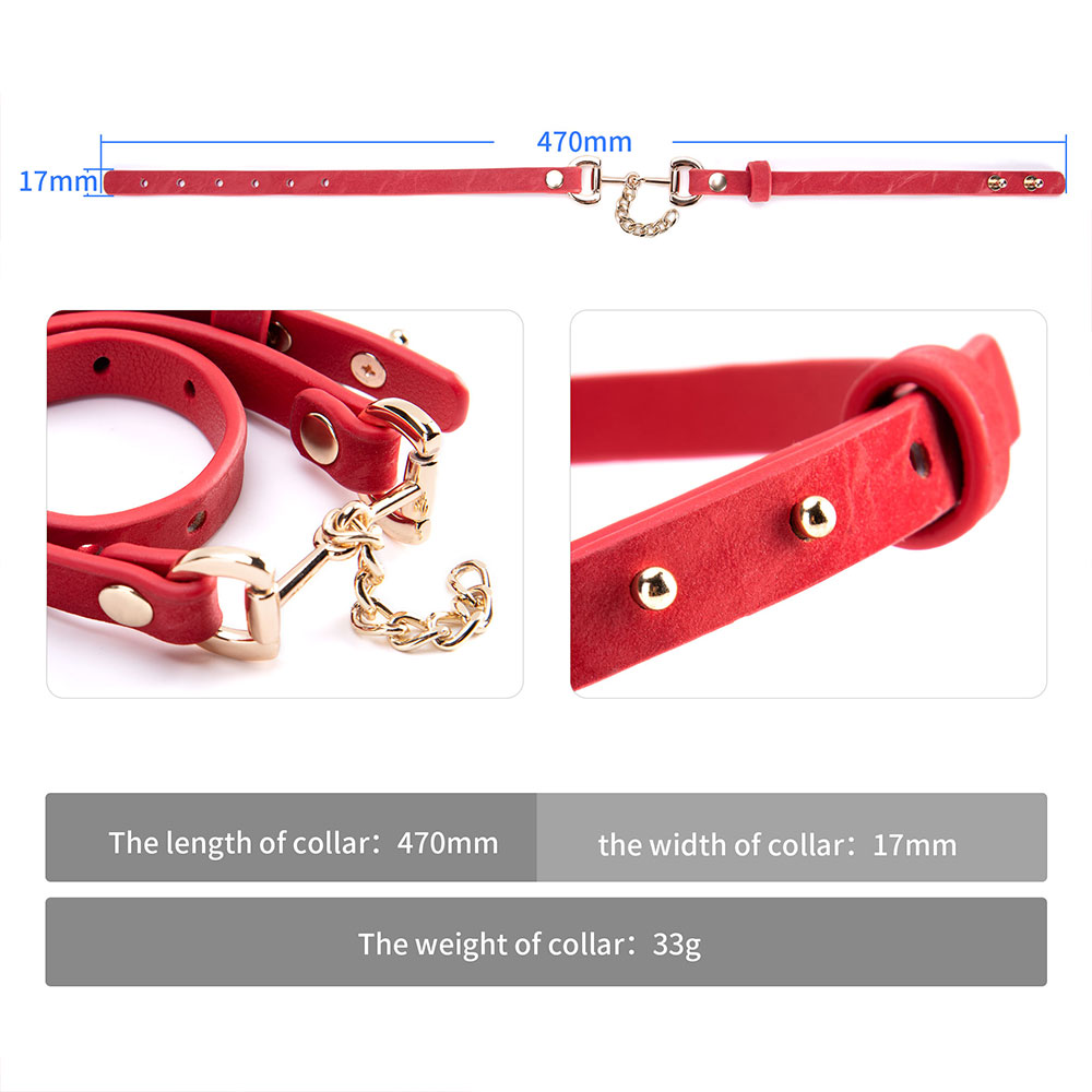 Stilvolles SM-Lederhalsband mit Metallkette f&uuml;r Erwachsene im Gro&szlig;handel. Exquisites BDSM-Leder-Halskettenhalsband f&uuml;r Frauen und M&auml;nner