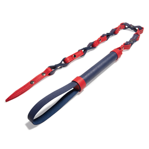 BDSM bondage elektrische schok seksproducten zweep peddel