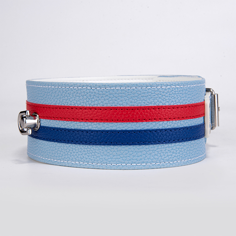 SM Products Luxus-Halsband aus Leder, Sexhalsband f&uuml;r Frauen, Halsband und Kette, Geschenke f&uuml;r Paare