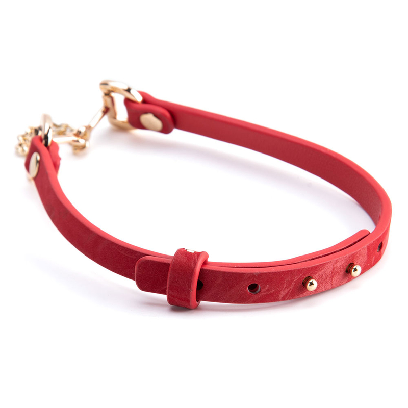 Stilvolles SM-Lederhalsband mit Metallkette f&uuml;r Erwachsene im Gro&szlig;handel. Exquisites BDSM-Leder-Halskettenhalsband f&uuml;r Frauen und M&auml;nner