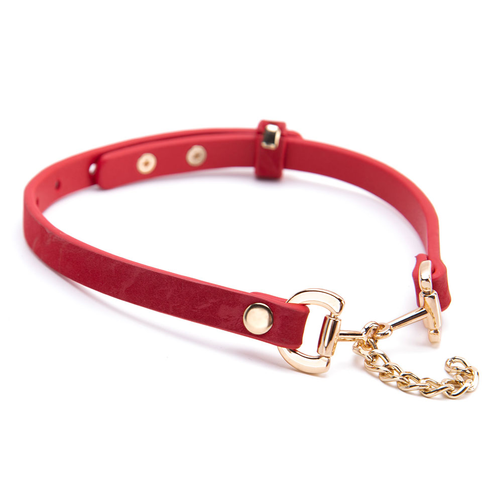 Stilvolles SM-Lederhalsband mit Metallkette f&uuml;r Erwachsene im Gro&szlig;handel. Exquisites BDSM-Leder-Halskettenhalsband f&uuml;r Frauen und M&auml;nner