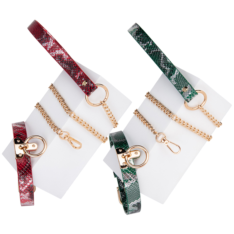 Vrouwelijke bondagekit met halsband en ketting: gotische BDSM-set carnaval punk cadeau voor spelletjes voor koppels