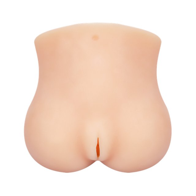 3D 남자 큰 엉덩이 진동기 현실적인 질 장난감 섹스 인형 남성용 섹스 
