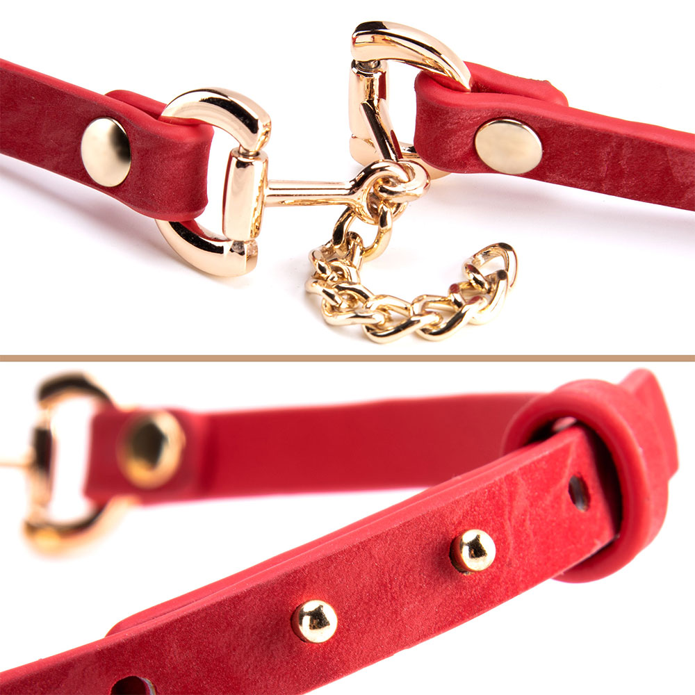 Stilvolles SM-Lederhalsband mit Metallkette f&uuml;r Erwachsene im Gro&szlig;handel. Exquisites BDSM-Leder-Halskettenhalsband f&uuml;r Frauen und M&auml;nner